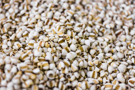 grains