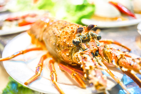 Lobsterの写真素材