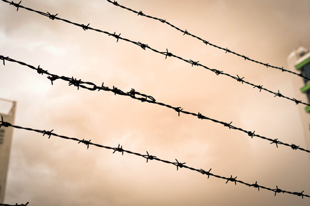 Barbed wire fence outdoor on the sunset.