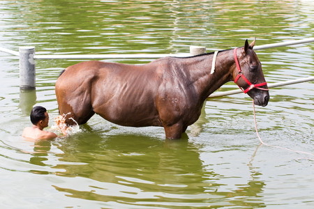 A man washes horse race in canal.の写真素材