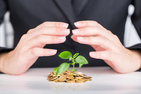 Close up business hands save money to stack of tree on coins.の写真素材