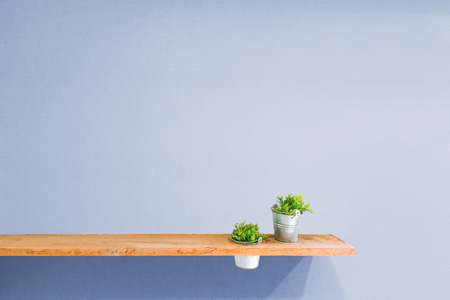 Wooden shelf on purple vintage wall with plant.の写真素材