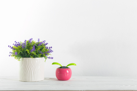 Fowers and pot on a white with wall shelf.の写真素材