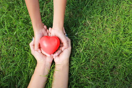 Hands in the grass in the form of heart.hands holding green heart shaped grassの写真素材