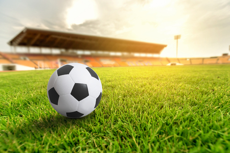 Green grass in soccer stadium with light flare.の写真素材