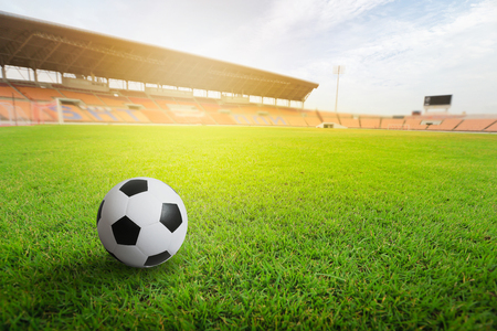 Green grass in soccer stadium. Grass on stadium in sunlight.の写真素材