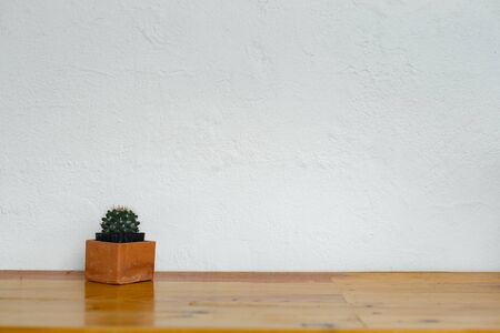Small cactus plant in cute pots on wooden shelves on white wall.の写真素材