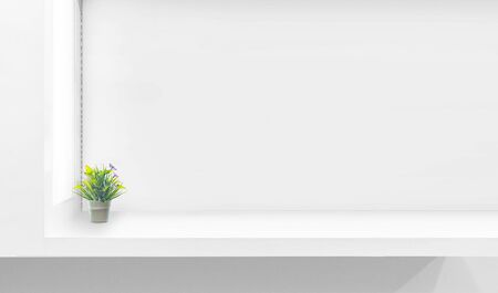 White shelf against white wall with green plant. copy spaceの写真素材