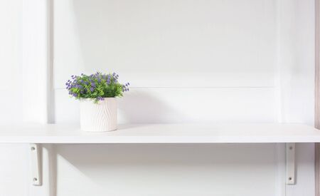 Lliving room interior with beautiful plant and in differents design pots on the green shelf.の写真素材