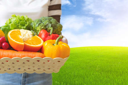 Closeup of  hands Woman with fresh vegetables in the box.の写真素材