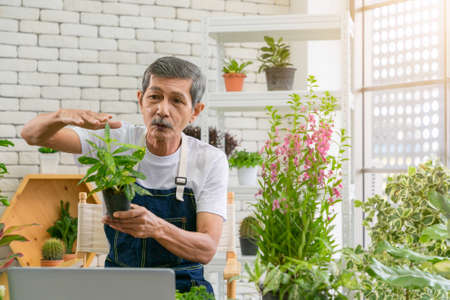 Senior man gardener working with camera presents houseplants during online live stream.の写真素材