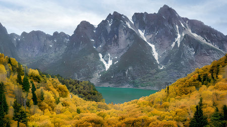 "The Emerald Mountainside" The forest is home to a variety of creatures, from squirrels and rabbits to bears and wolves. Generative AIの素材