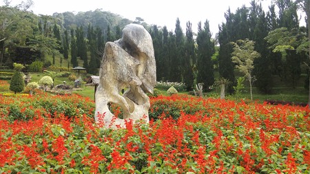 Planting flowers in winter ,Yala:Thailand's southernmost borderのeditorial素材