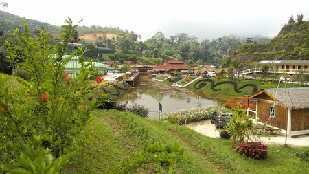Planting flowers in winter ,Yala:Thailand's southernmost borderのeditorial素材