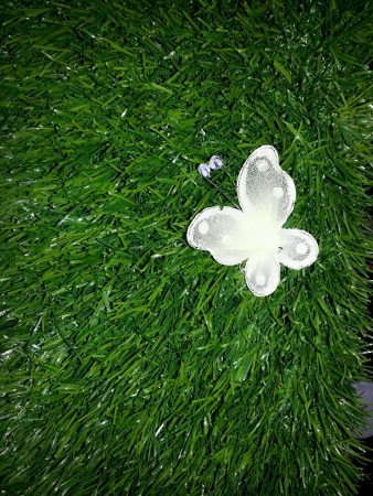 white stylish butterfly on green grassの素材