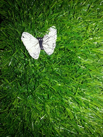 butterfly and grass wall decorationの素材