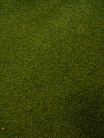 artificial grassの素材