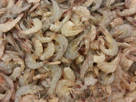Pile of fresh organic prawn at vegetables marketの素材