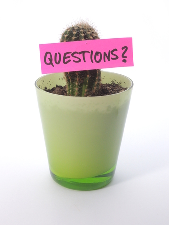 Cactus with the sign "Questions". The cactus intends to symbolize that the key points stickの写真素材