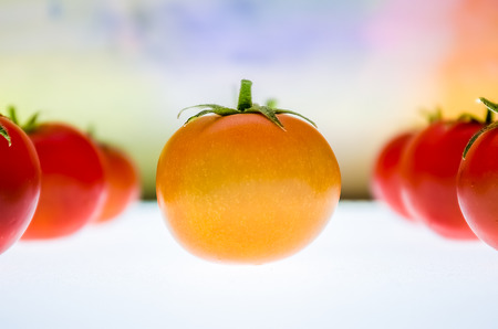 Fresh tomatoes and a colorful backgroundの写真素材