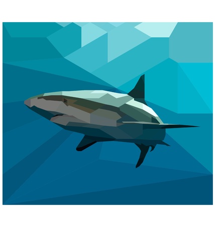 Polygon sharkのイラスト素材