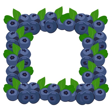 Frame blueberries, isolated vectorのイラスト素材