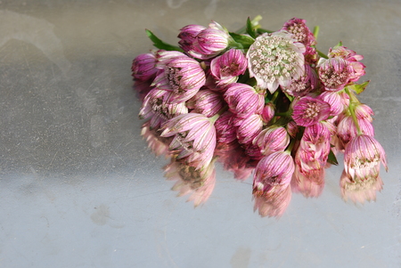Pile of pink flowers on metal trayの写真素材