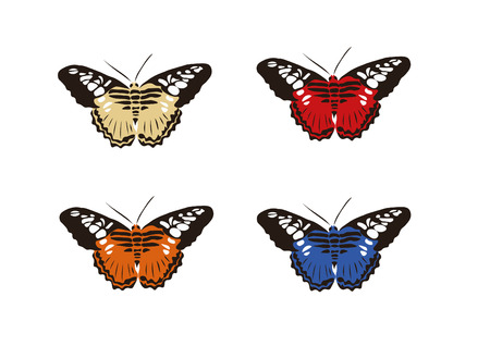 Set of butterflies, isolated vectorのイラスト素材