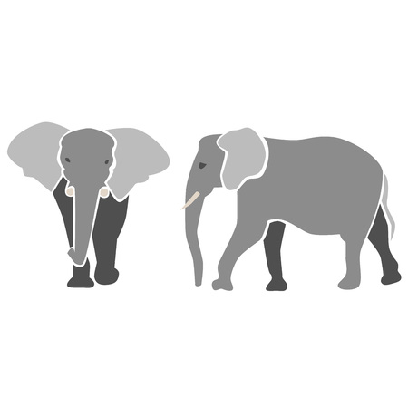 Elephants in grey, isolatedのイラスト素材