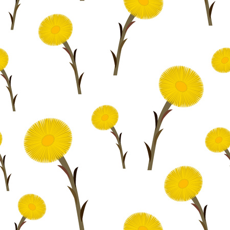 Seamless pattern coltsfoot flowers, vectorのイラスト素材