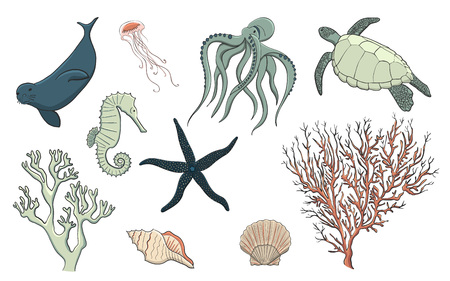 Hand drawn sea life set, vectorのイラスト素材