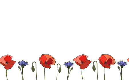 Seamless border poppy cornflower, vectorのイラスト素材