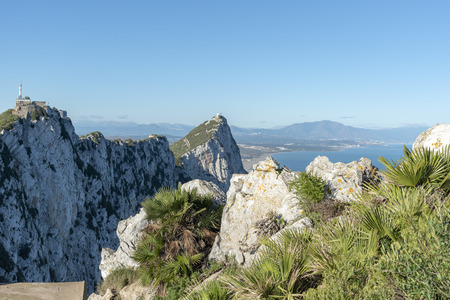 Rocks of Gibraltar with plantsの写真素材