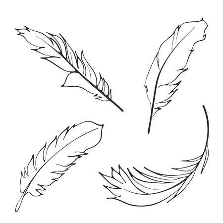 Line art feathers set, vectorのイラスト素材