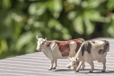Plastic cow farming toyの写真素材