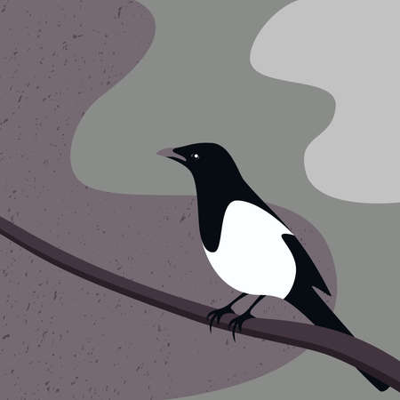 Magpie bird abstract vectorのイラスト素材