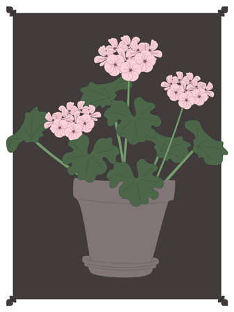 Hand drawn geranium pink flowerのイラスト素材