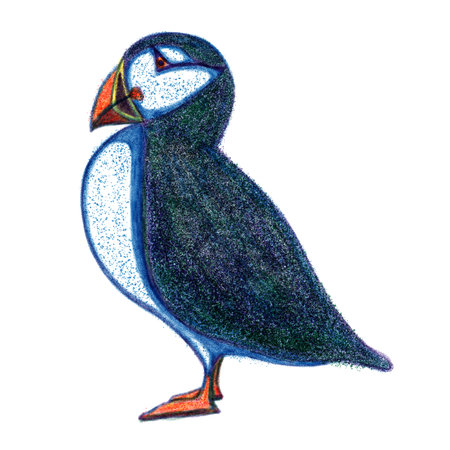 Atlantic puffin risograph retro illustrationの写真素材