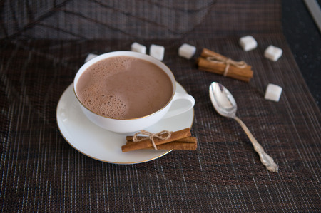 An elegant white cup of cocoa with some cinnamon sticks and sugar cubes around it. There is a teaspoon next to the cup.の写真素材