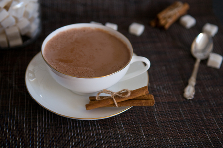 An elegant white cup of cocoa with some cinnamon sticks and sugar cubes around it. There is a teaspoon next to the cup.の写真素材