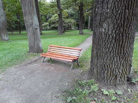 Empty bench between the trees in autumn park. Autumn moodの写真素材