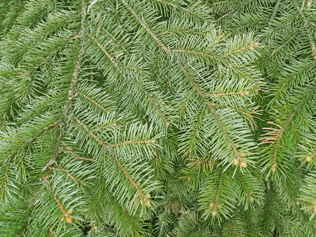 Close up, may be used as backgroundの写真素材