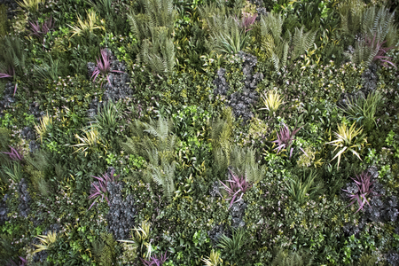 Decorative floral background with colored bushes of grass, different leaves and fernの写真素材