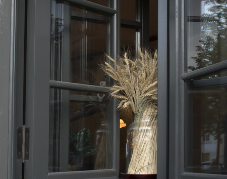 Fresh wheat ears in a vase on the open window, concept decorationの写真素材