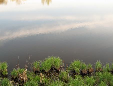 Pond shore with islets overgrown with grass and sky with clouds reflected on the water surfaceの写真素材