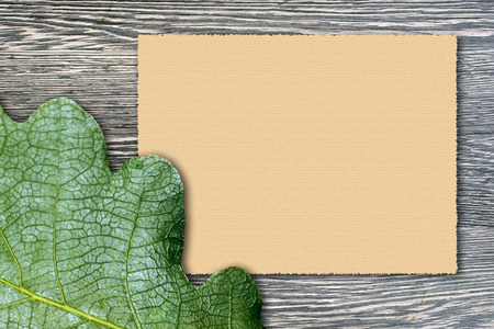 Greeting card template, green oak leaf and empty sheet of embossed paper on gray wooden board. May...