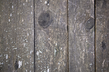 Old wooden gray unplaned boards surface with knots and cracks, may be used as backgroundの写真素材