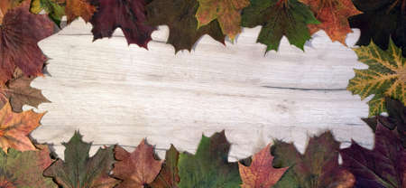 Autumn frame of fallen maple leaves lying on a wooden board, designer template with space for text