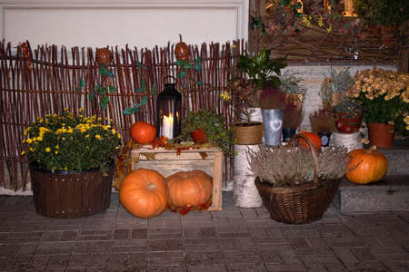 Street Halloween decoration with pumpkins, flower pots, rural fence and big candleの写真素材