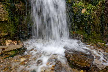 Millennial cold forest creek, river rapids with fast flow, long exposure